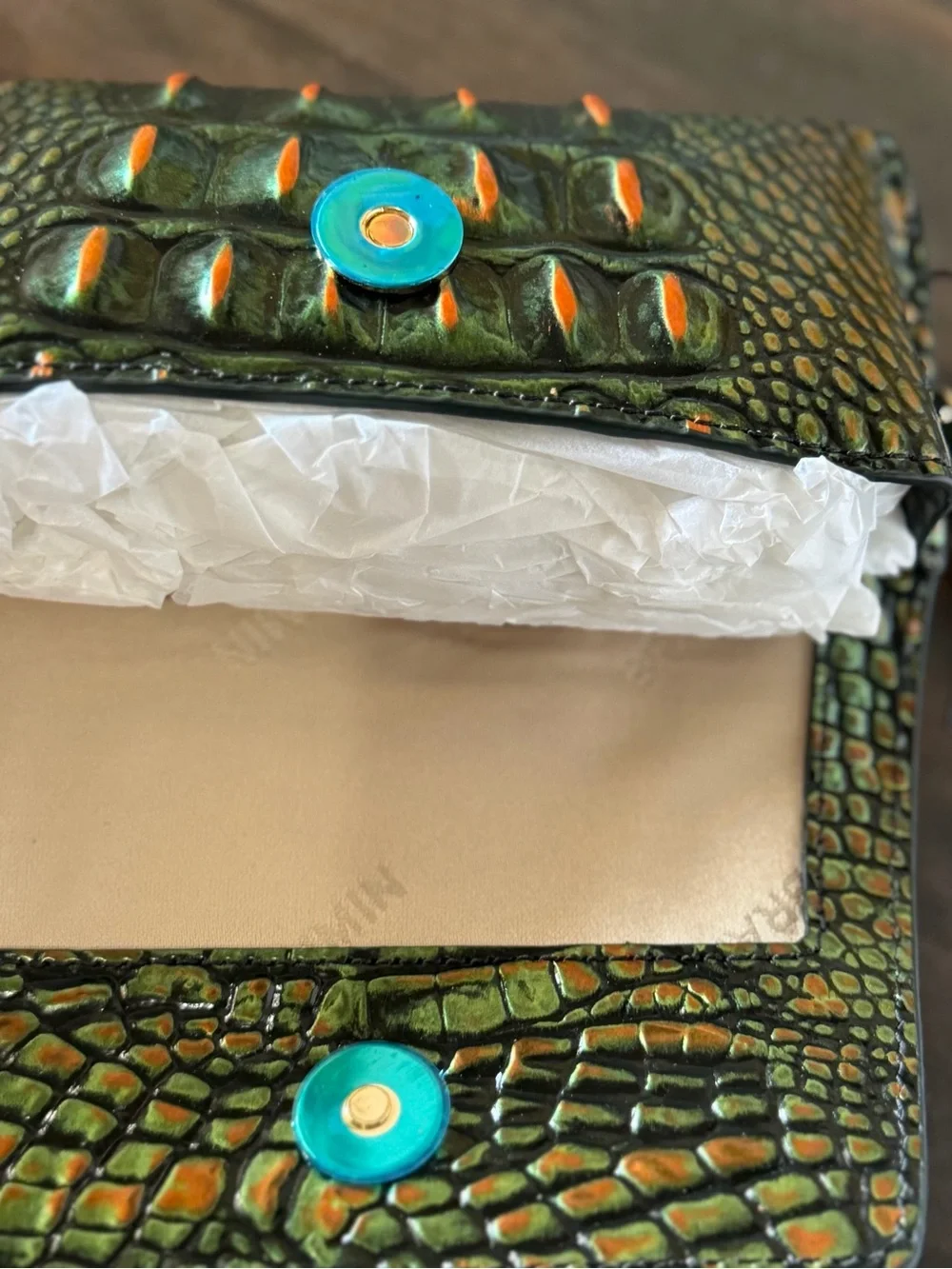 NWT BRAHMIN ELORA SUNGLASSES CASE SAMBA GREEN HTF